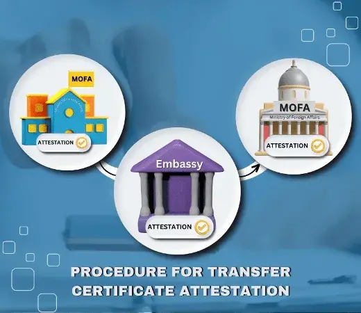 Procedure For Transfer Certificate Attestation
