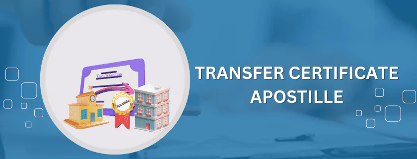 Transfer Certificate Apostille